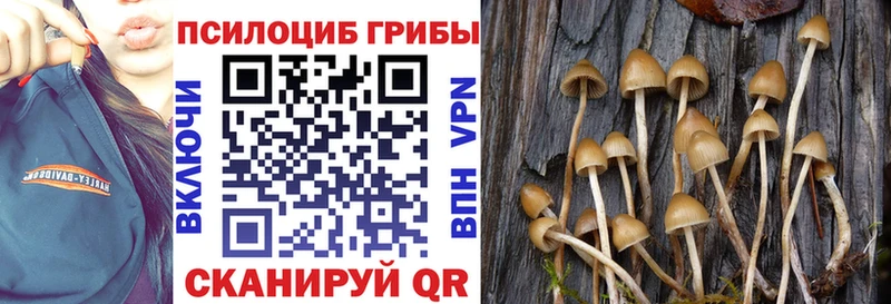 Галлюциногенные грибы мухоморы  Новокузнецк 